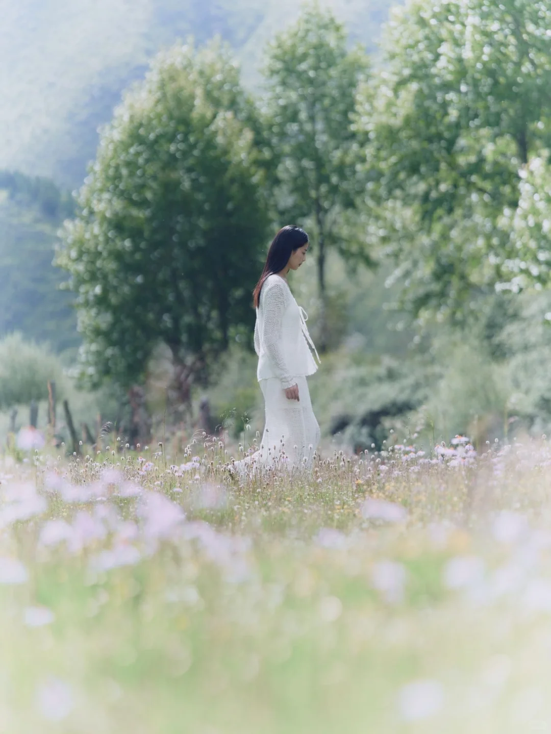 我家春春拍稀物集了！