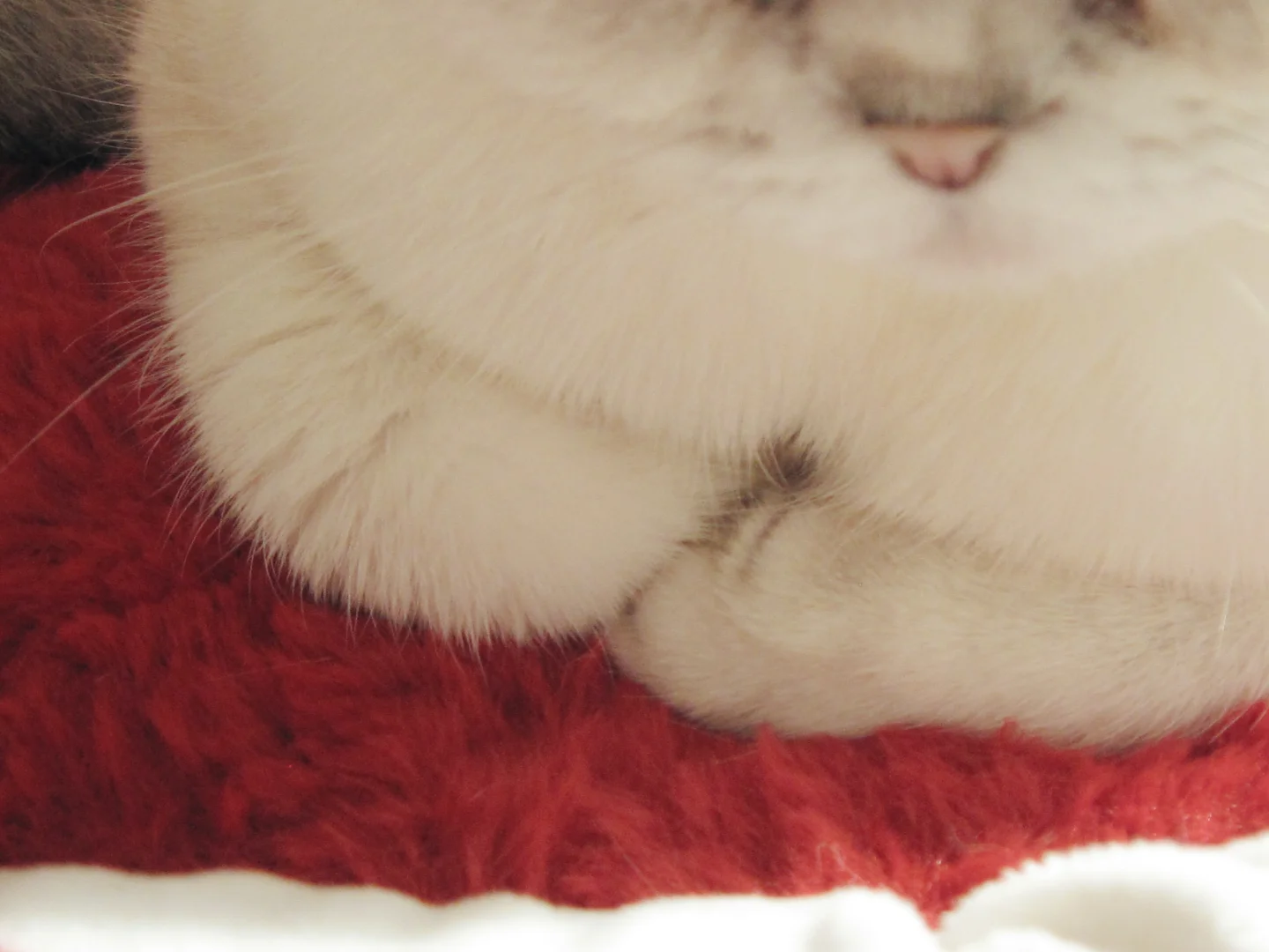 这ccd拍的也太美了吧