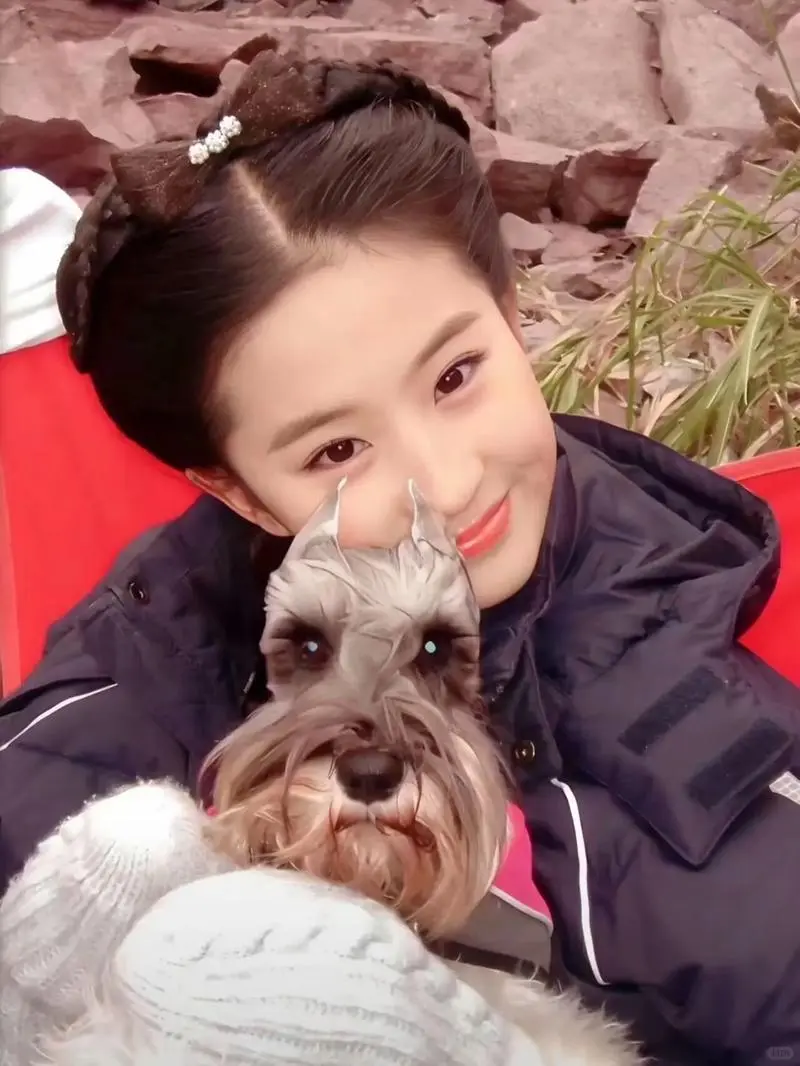 刘亦菲考古系列