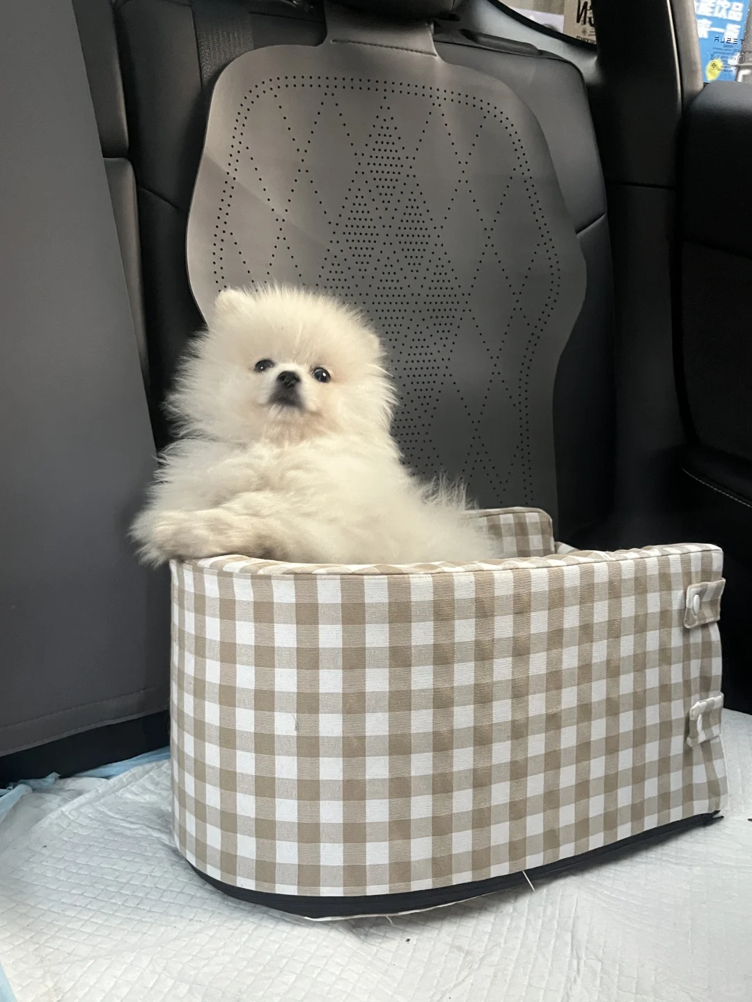 再见爱人💞爱人先爱己 好好吃饭🍽️ 肉丝炒