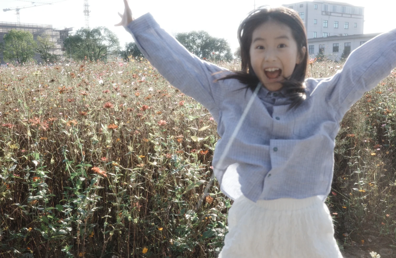 风轻轻吹，阳光正好～～～