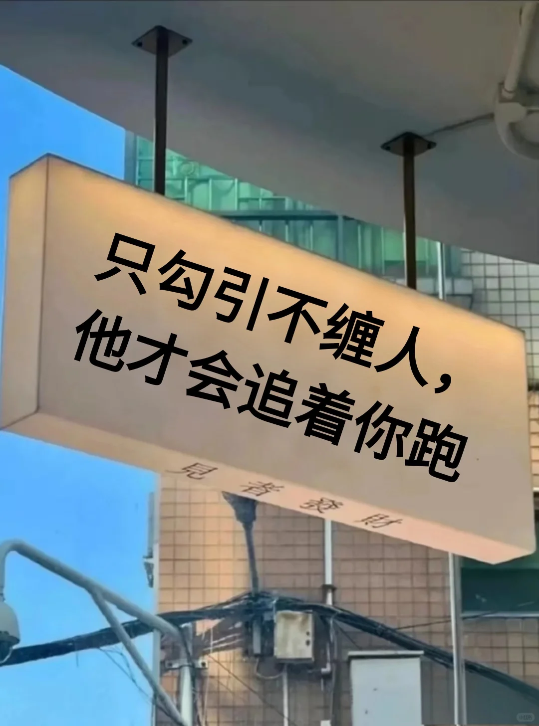 只勾引，不缠人，他才会追着你跑