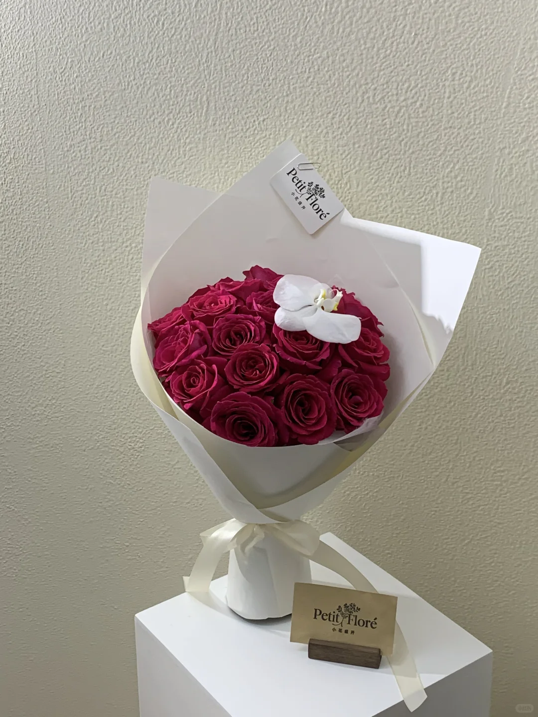 西安花店｜“娇艳小公主”🦩