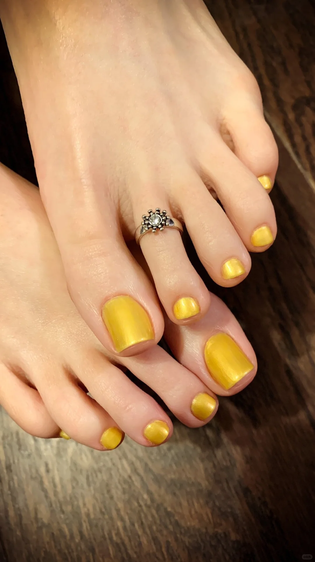 美脚甲，它不张扬，却总能被看见！