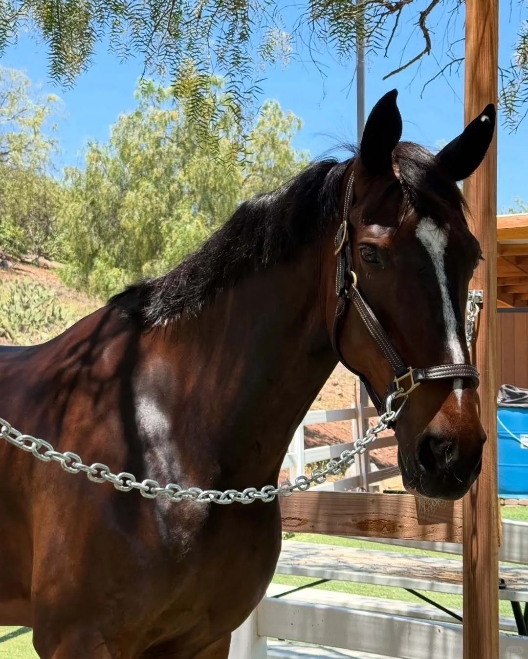 Kendall Jenner｜今日更新: happiness