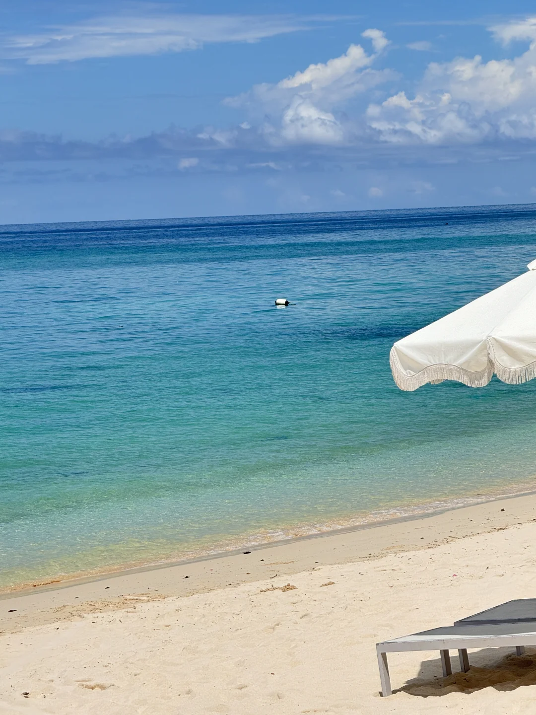 只带了一条裙子去海边的我