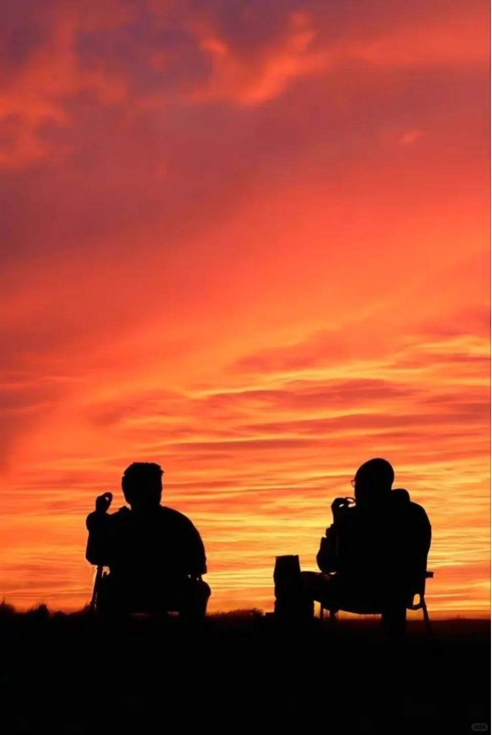 2025的尾巴，沉迷于毒师宇宙