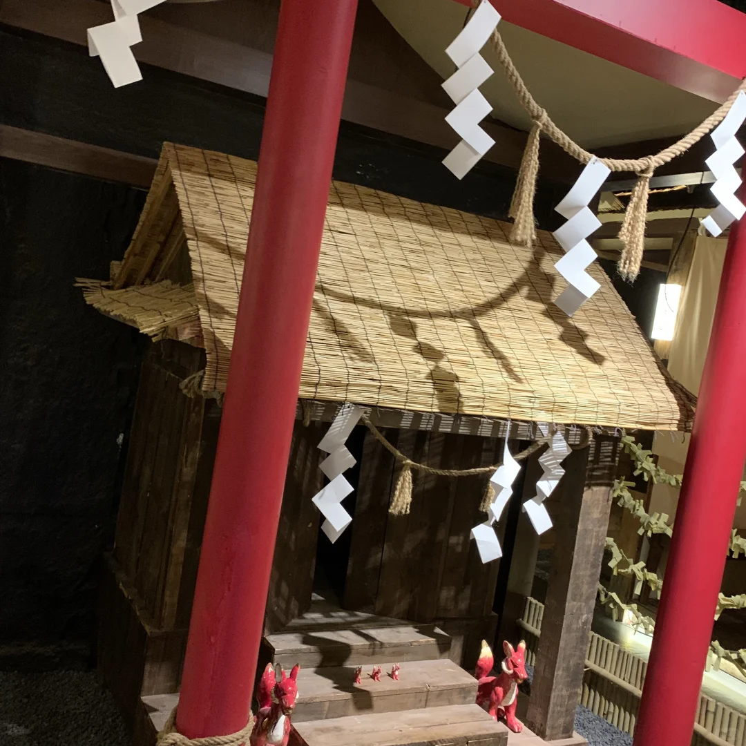 会带每一任搭子都来吃的人均100日料！