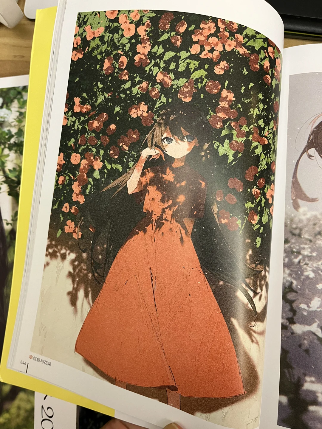 我的照片和我喜欢的画册！！！！