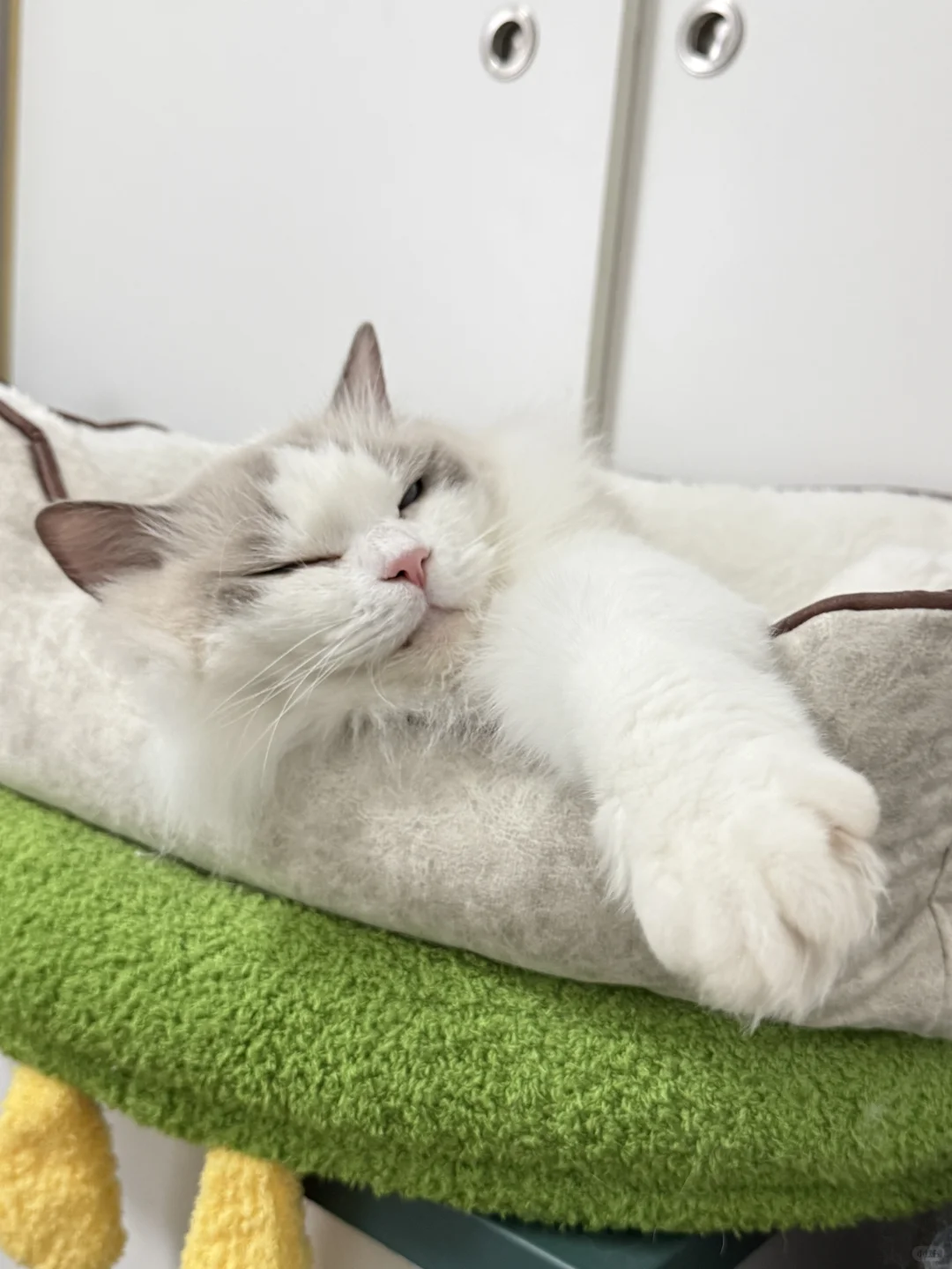 请欣赏宝的美足