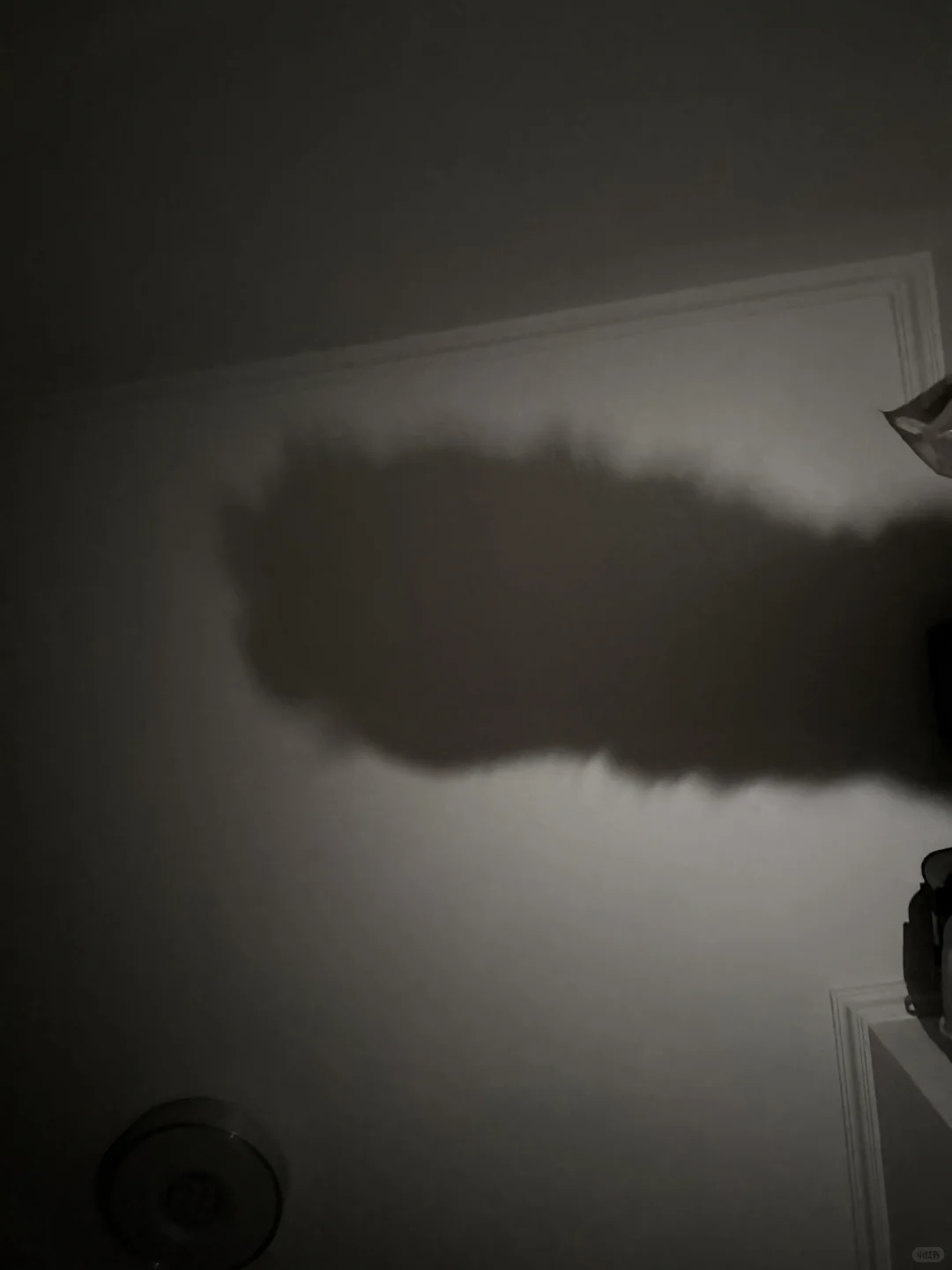 咪の美足之大脚马皇后