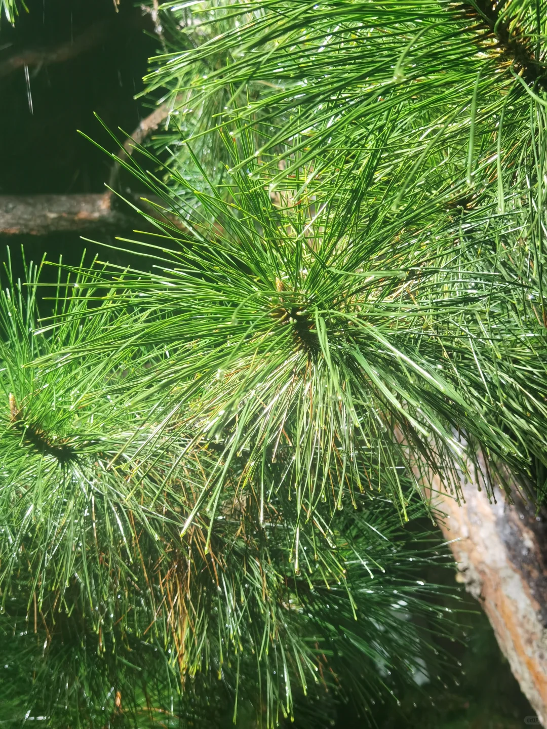 人活着就是为了这样一些鲜活的瞬间