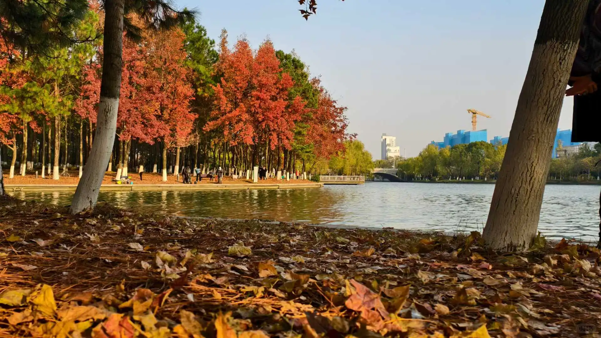 从普女到有点小漂亮~