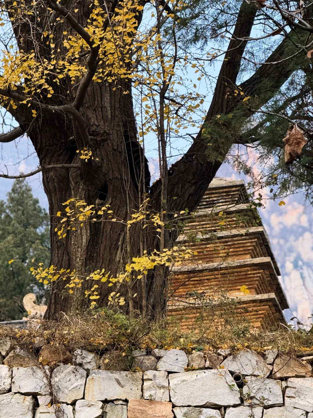 嵩山最小众的国保三祖庵，今日秋色正撩人