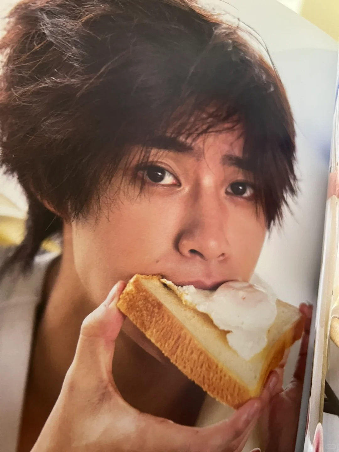 醍醐虎汰朗1st写真集となりのこたろー 部分访谈