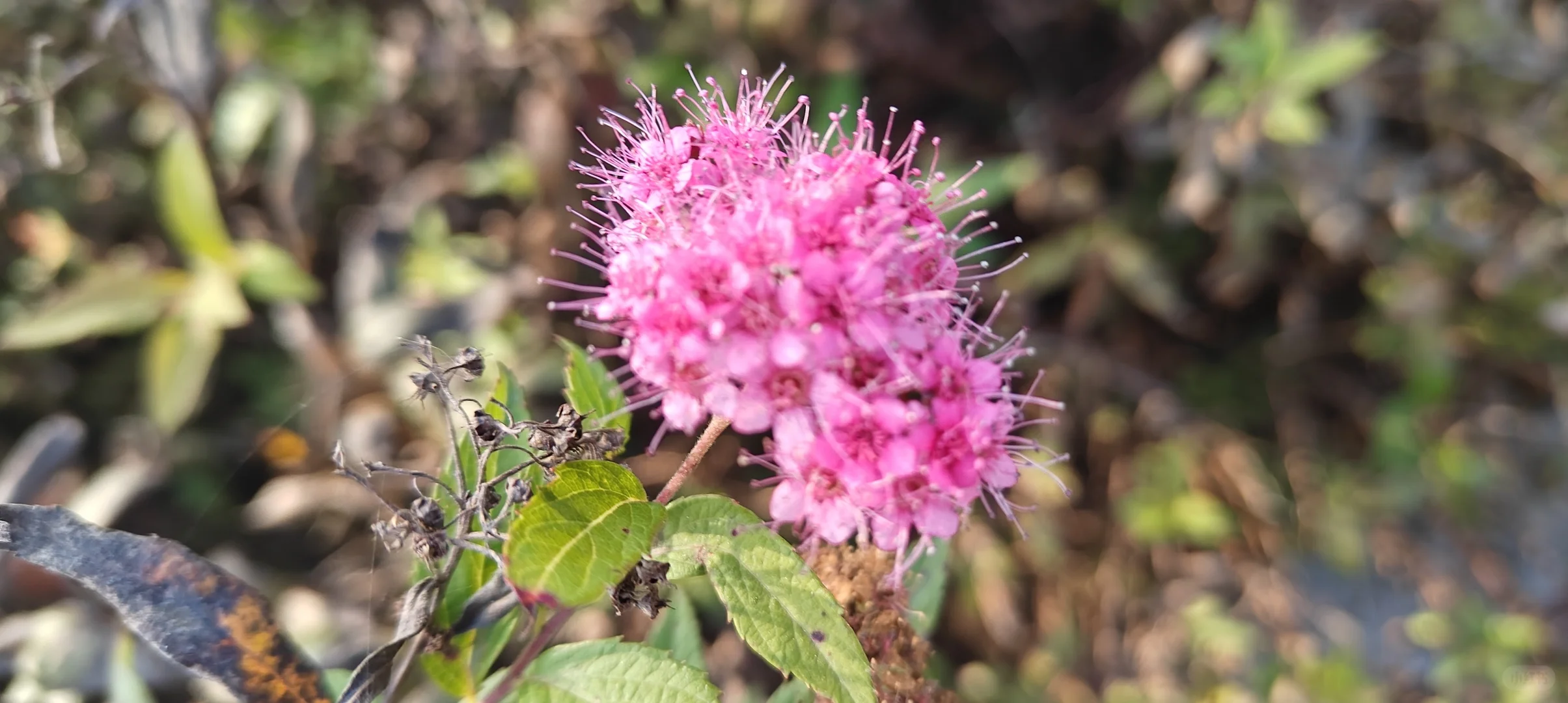 《写给三十岁的自己》