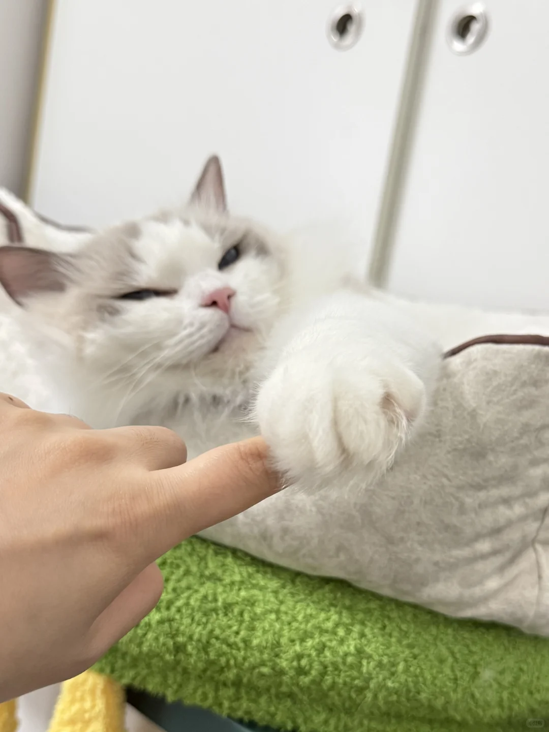 请欣赏宝的美足