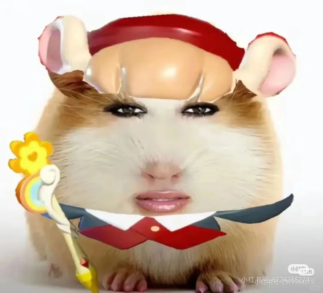 猪精图片第一期