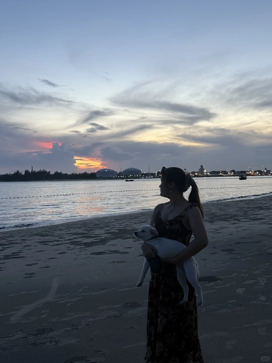 小狗与海我都喜欢🌊