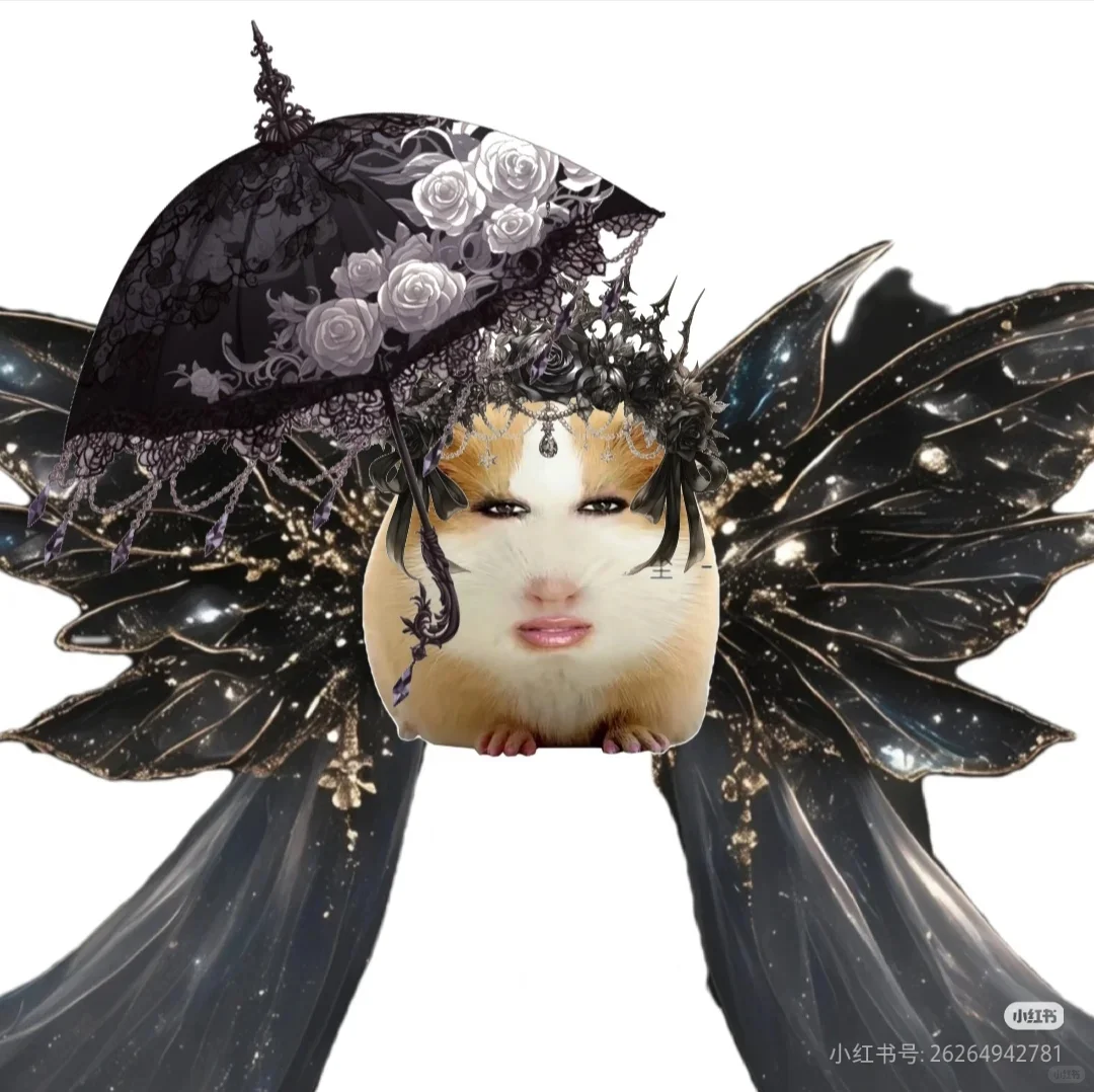 猪精图片第一期