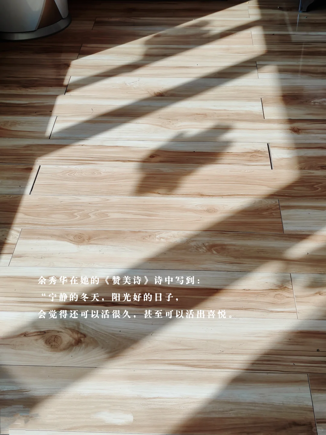 阳光好的日子，就觉得自己还可以活很久很久