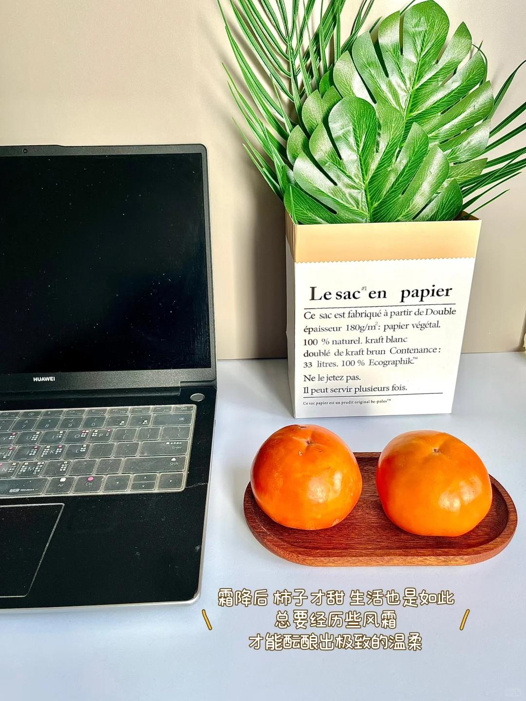 🌟素人Plog前期互粉有用吗？｜我的血泪经验