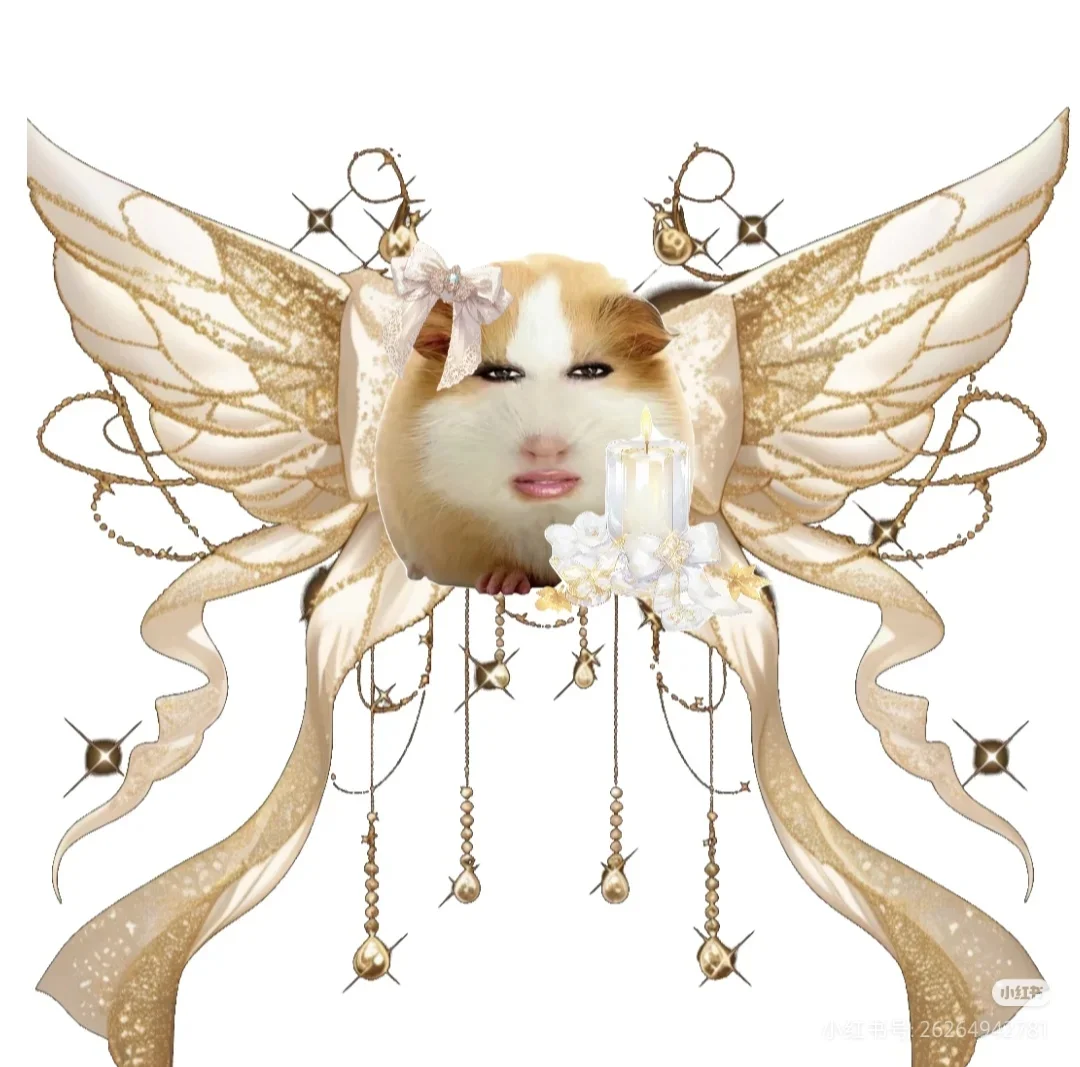 猪精图片第一期