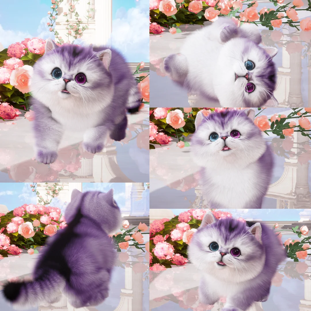 不经意露出超黑后背