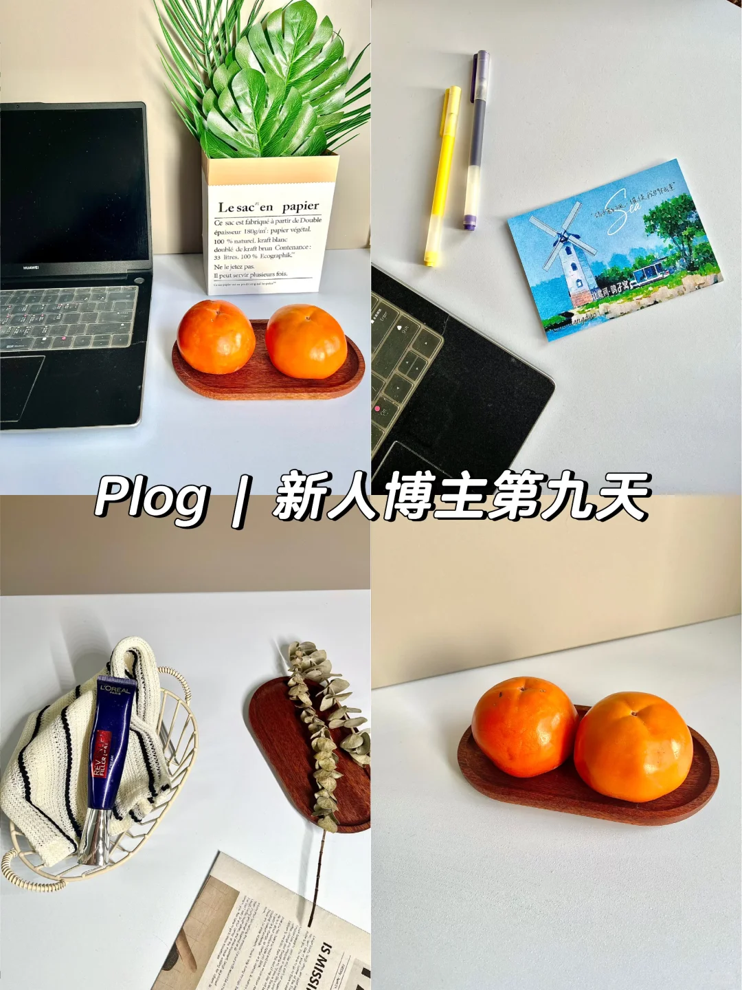 🌟素人Plog前期互粉有用吗？｜我的血泪经验