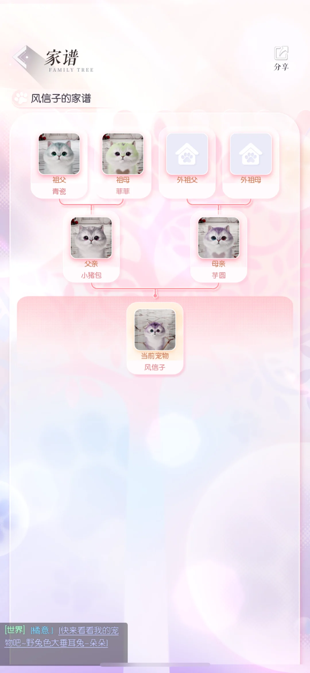 不经意露出超黑后背