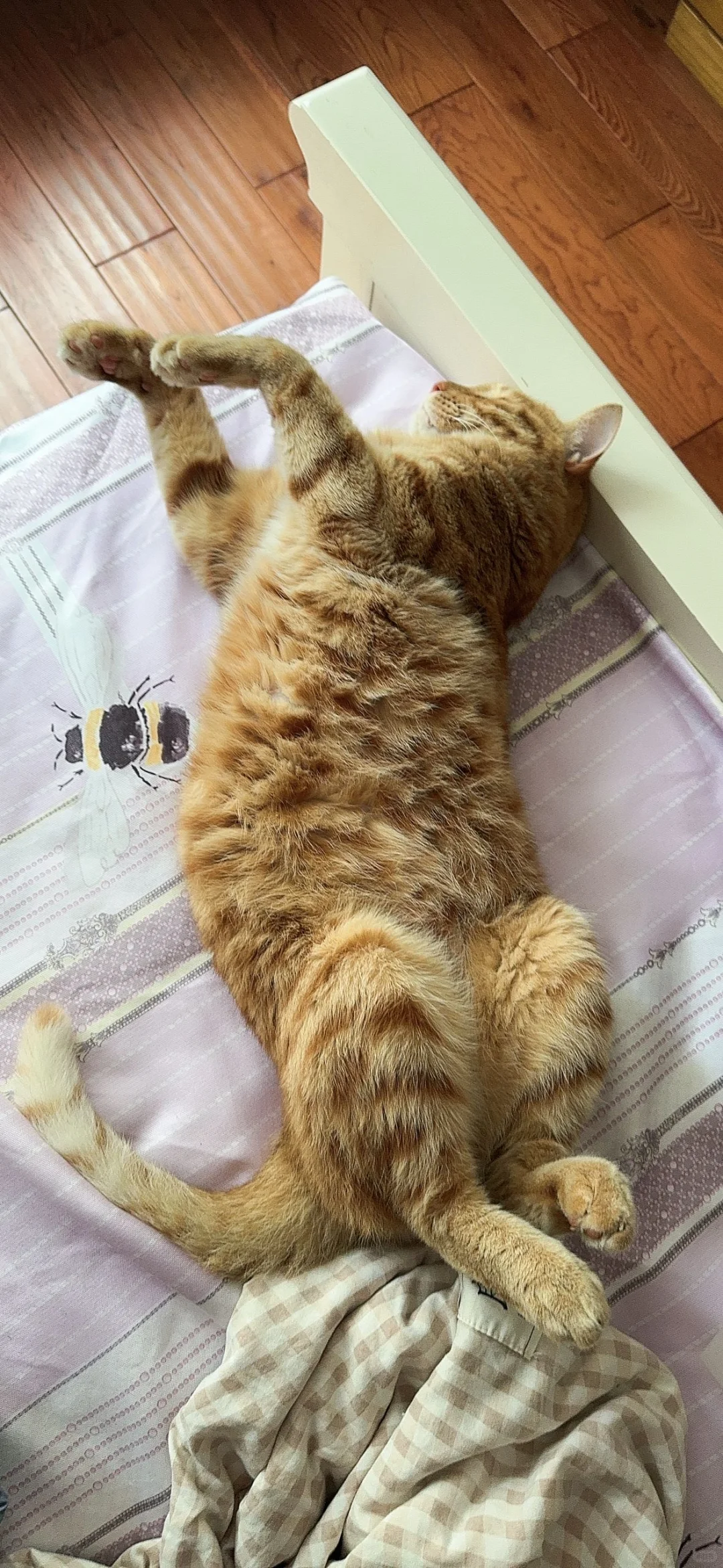 人 左滑看我长大