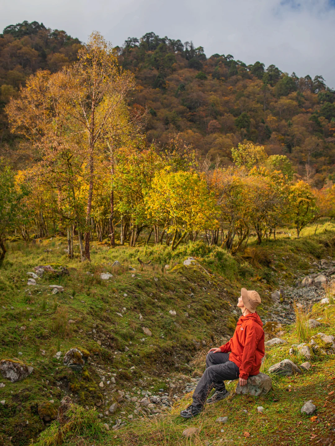 喇叭河秋景正当时🍁交换一张你拍的秋!