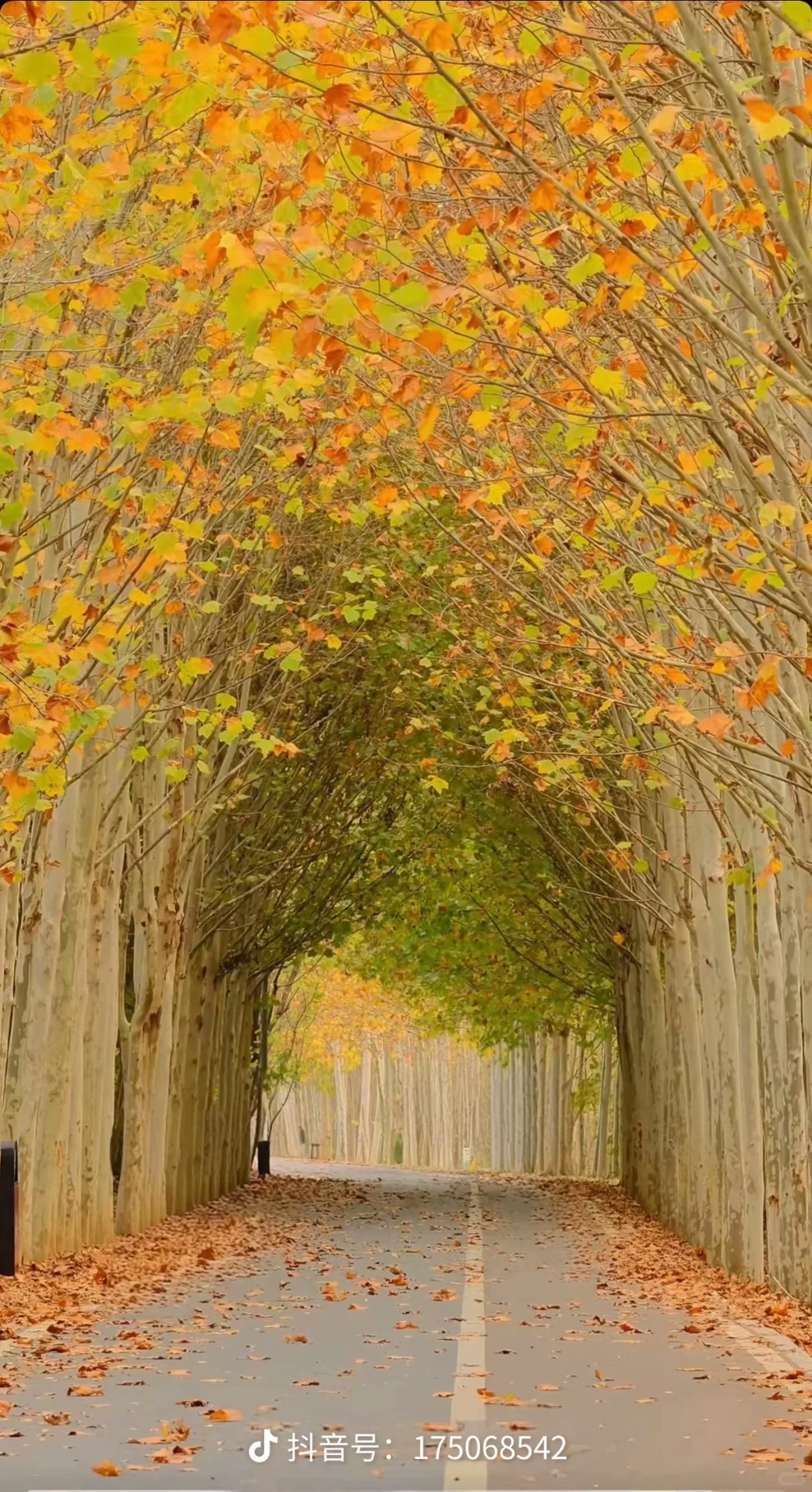 《写给三十岁的自己》