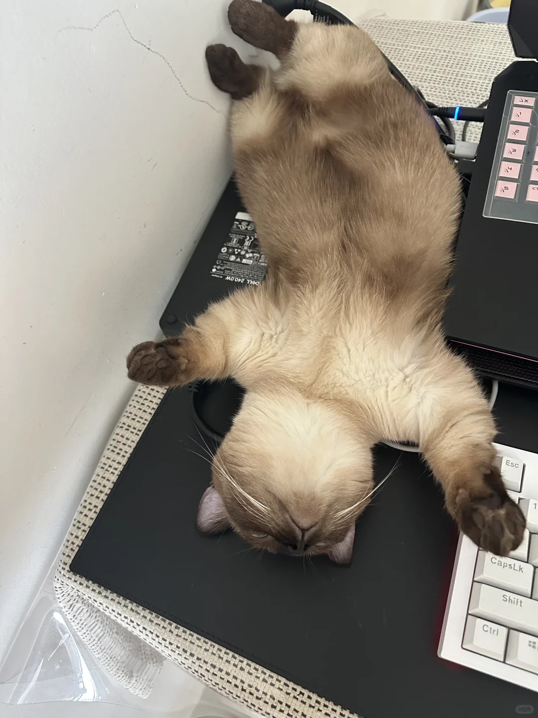 谁教她这样睡觉的