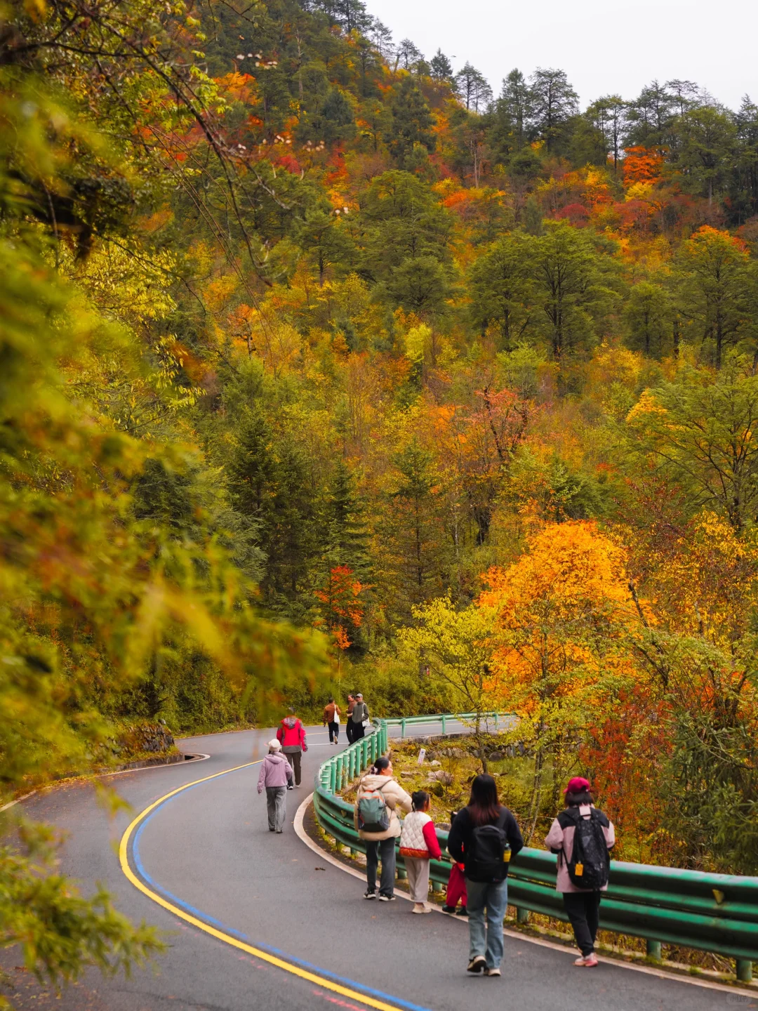 喇叭河秋景正当时🍁交换一张你拍的秋!