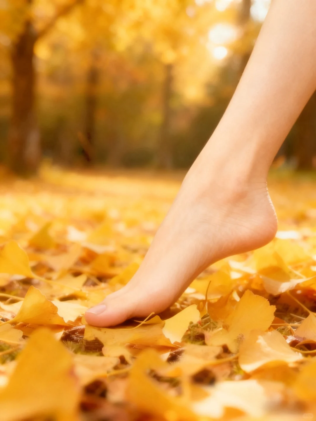 踏秋｜踩进一片金黄的浪漫里