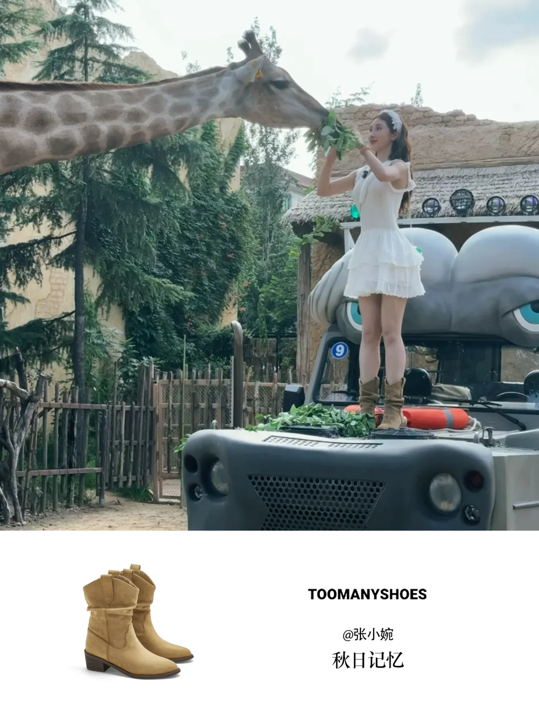 我宣布！张小婉又一神图诞生🤟