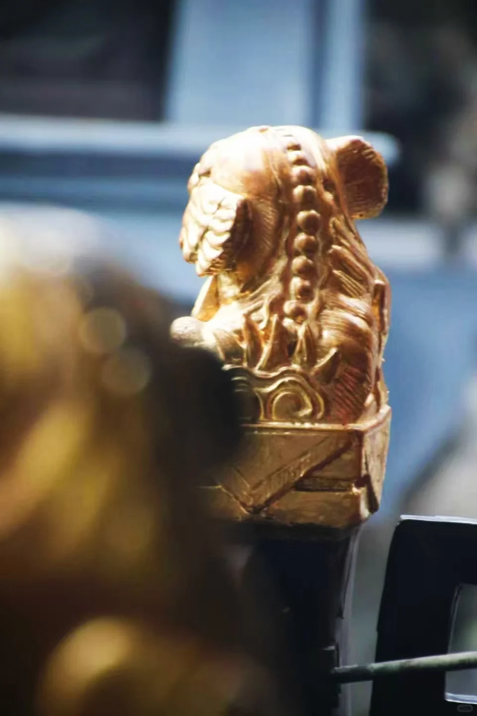 狮子林菊花展｜最是人间富贵花