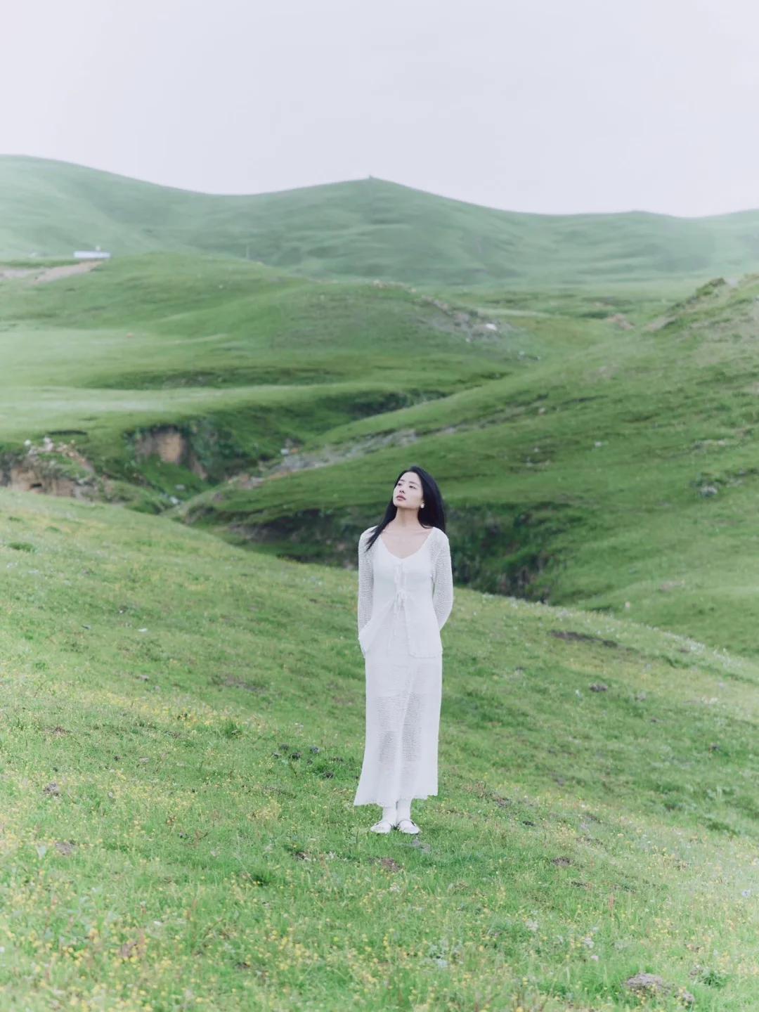 我家春春拍稀物集了！