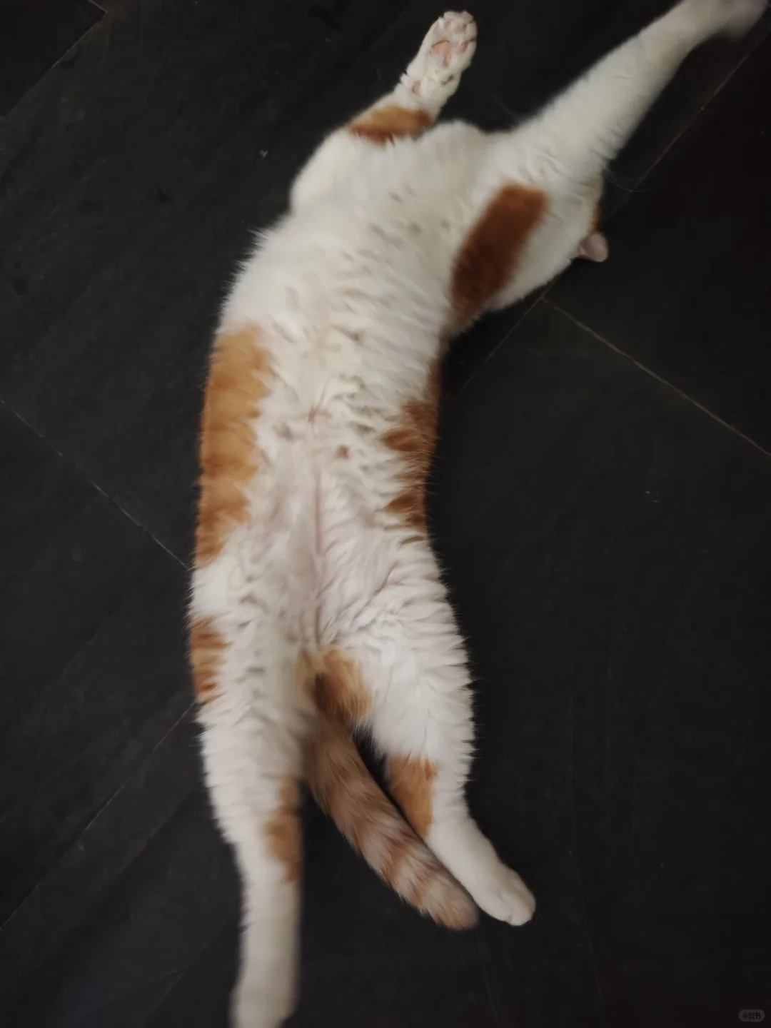 姐妹们，选择卷起来还是躺平呀?