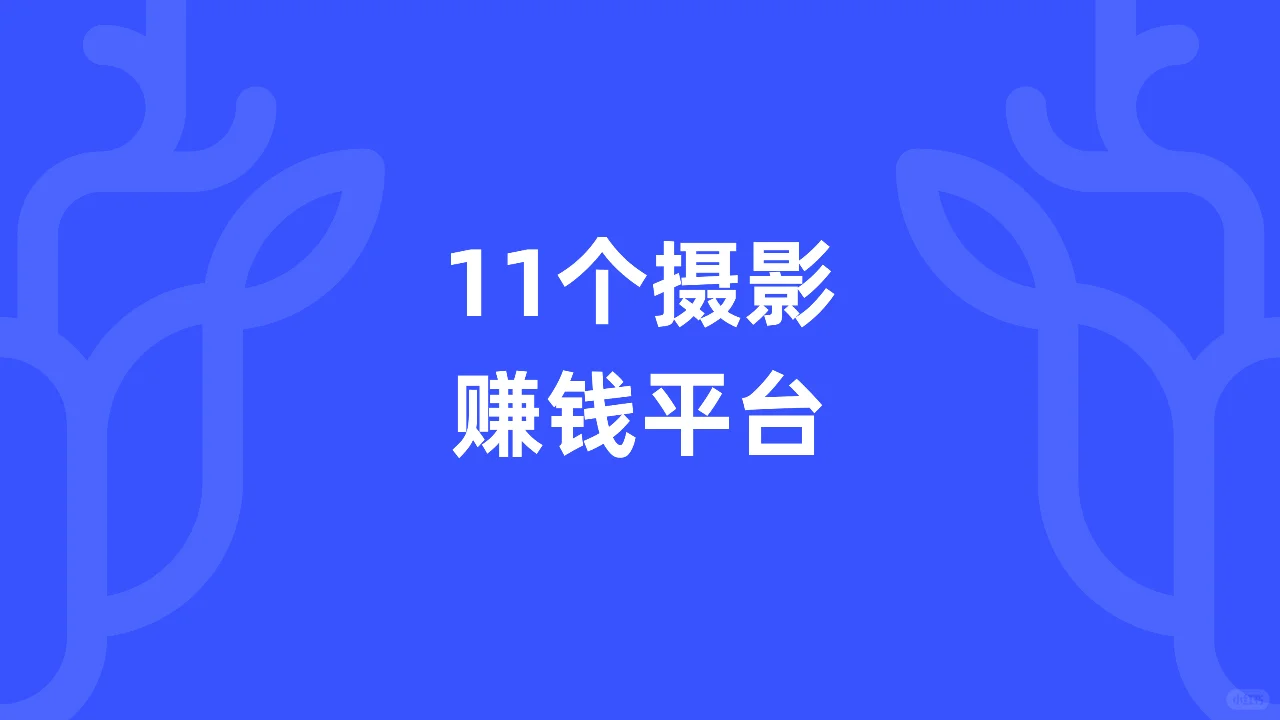 11个摄影赚钱平台