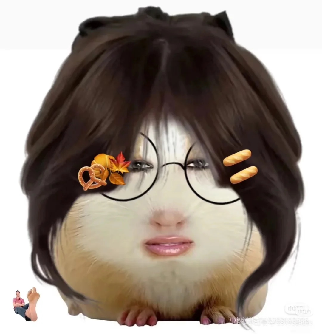 猪精图片第一期