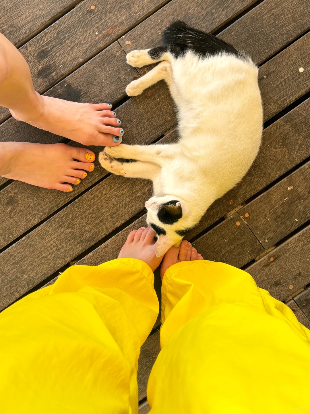 只带了一条裙子去海边的我