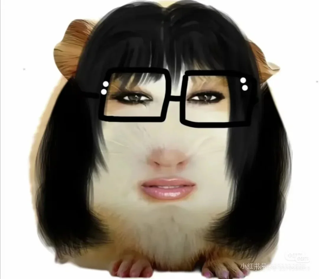 猪精图片第一期