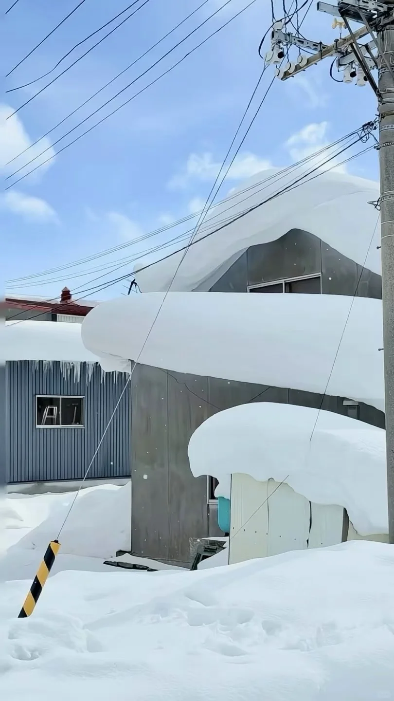 冬日旅行碎片～live图比照片更有生命力！