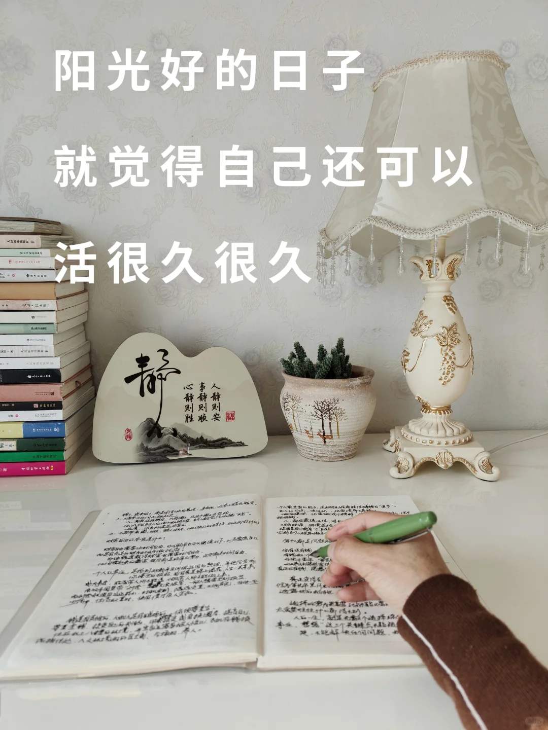 阳光好的日子，就觉得自己还可以活很久很久