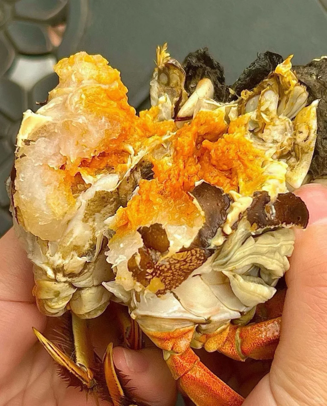 这是什么神仙蟹！巨肥美！