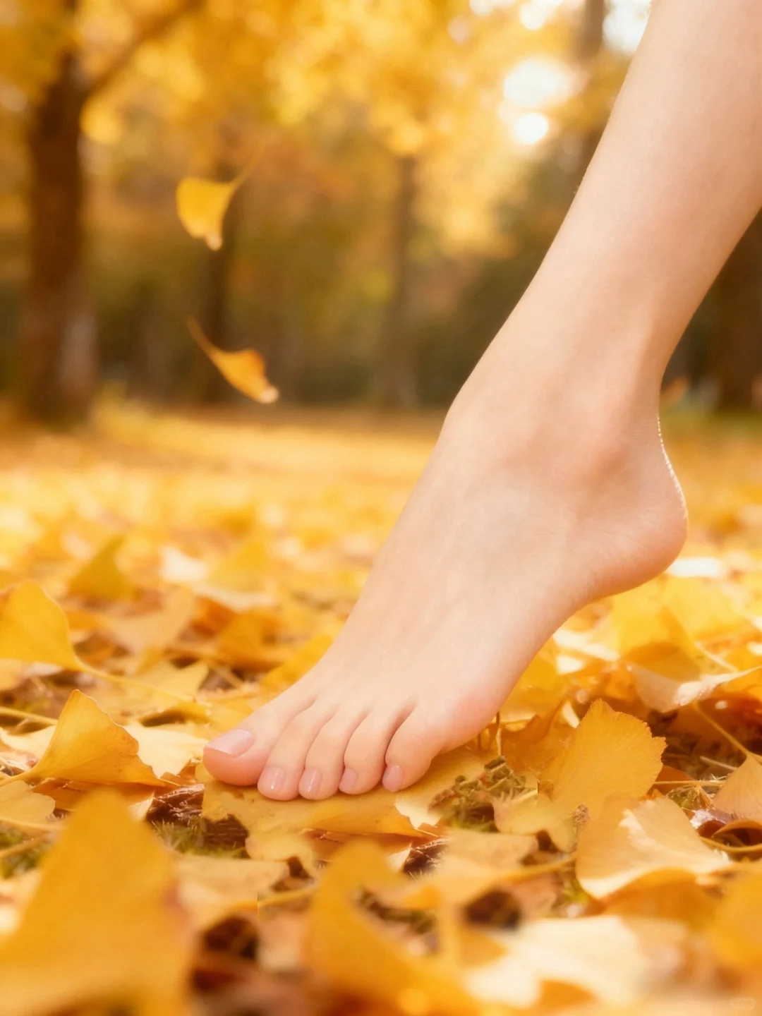 踏秋｜踩进一片金黄的浪漫里