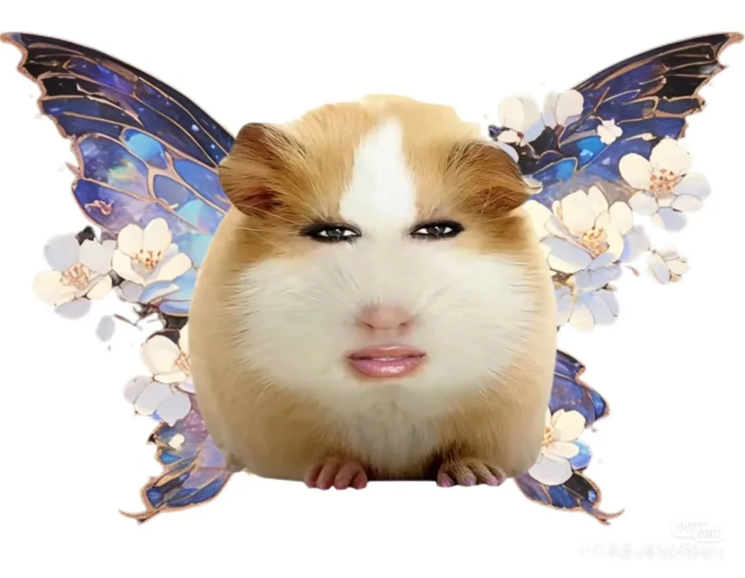 猪精图片第一期