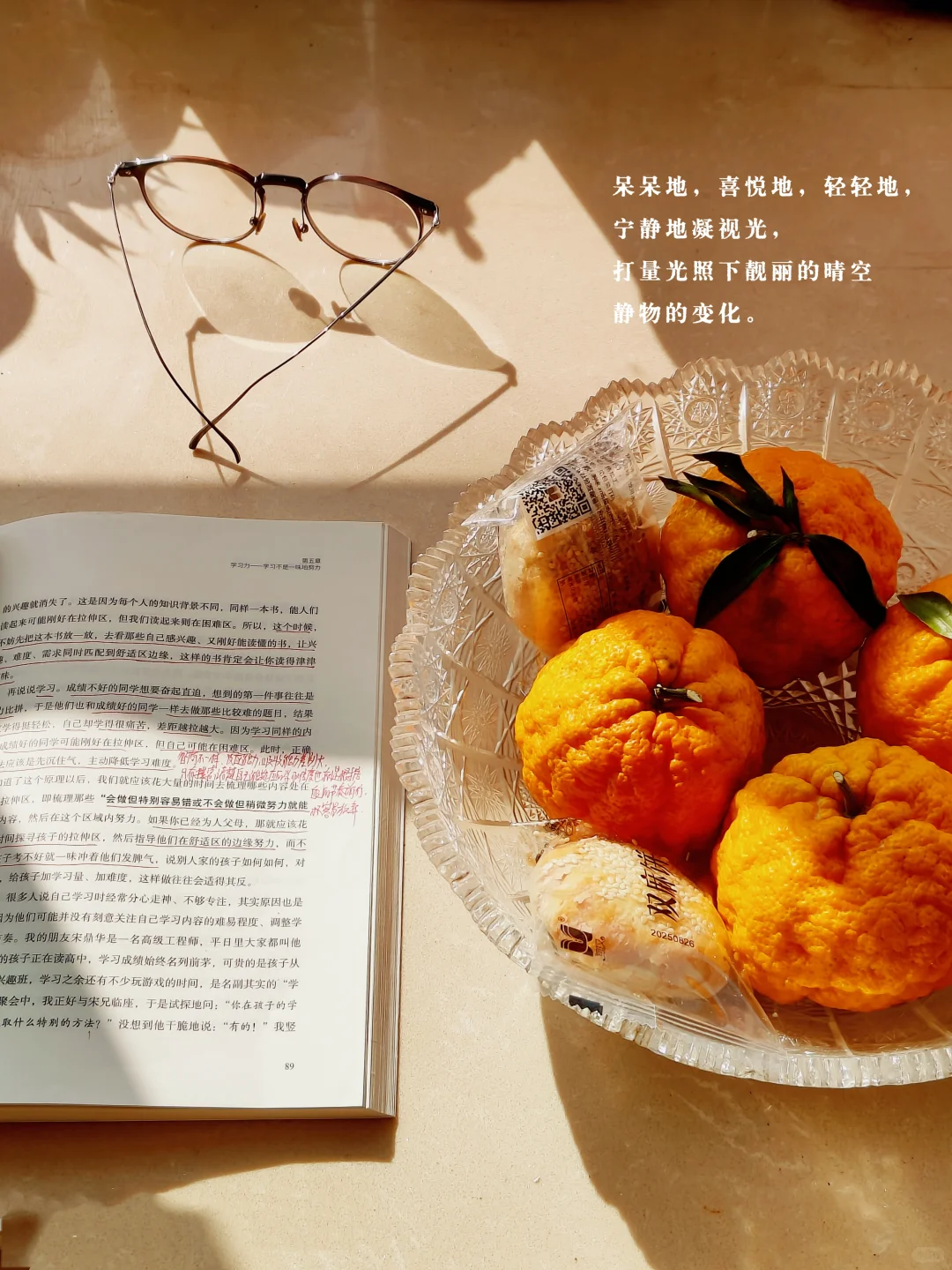 阳光好的日子，就觉得自己还可以活很久很久